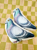 Pigeon Catnip Toy