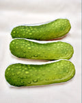 Pickle Catnip Toy